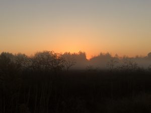 IMG_9810