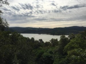 IMG_0257